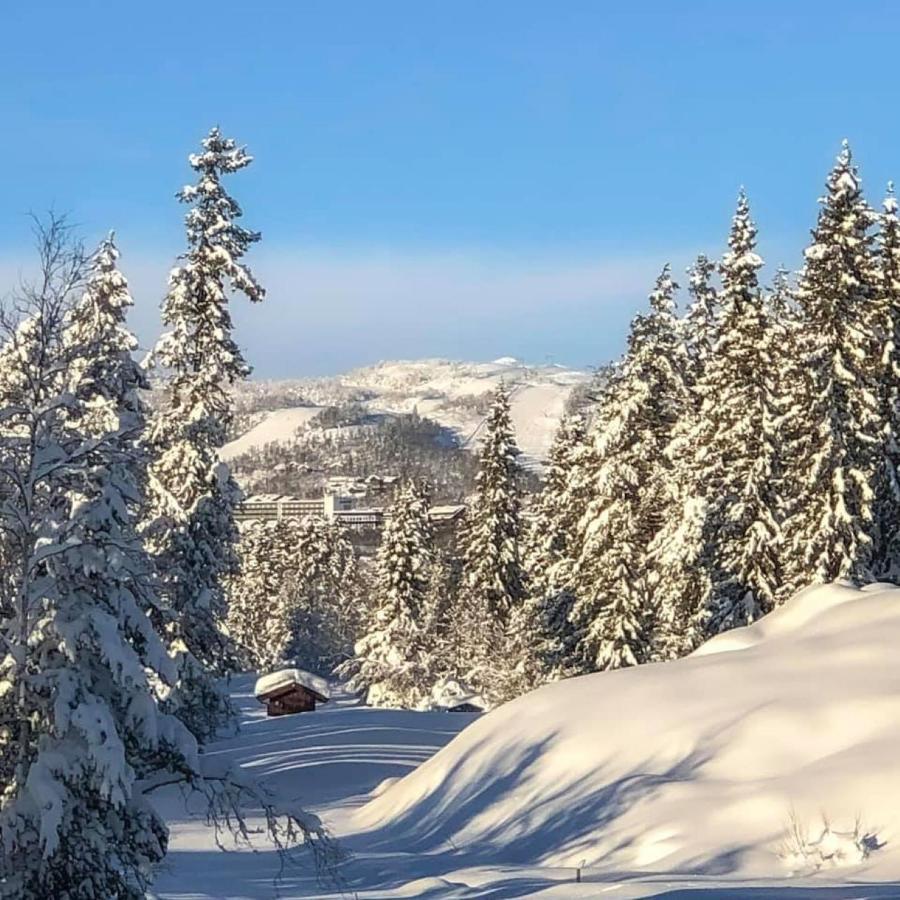Leilighet Beitostolen Sentrum, Terrasse Og Innendors Parkering Esterno foto